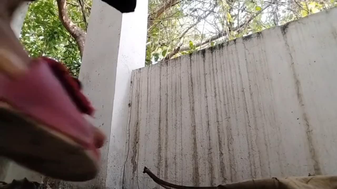 Indian Desi Village Cute School Girl Jungle Sex Viral Video, Indian school girl sex viral mms, Desi girl sex doggy style