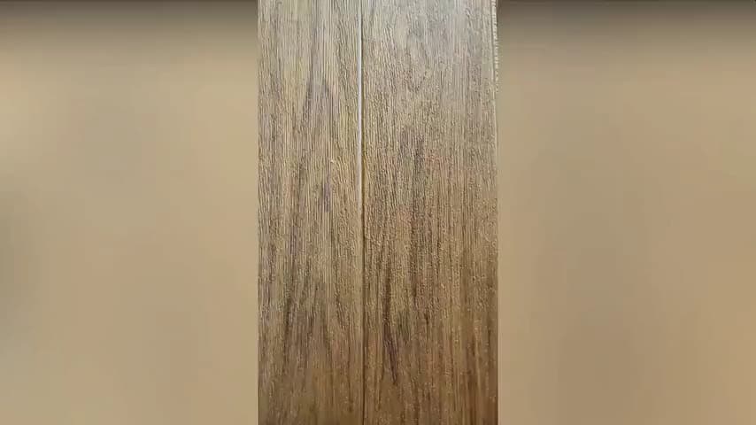 She just could not wait for our first sex video